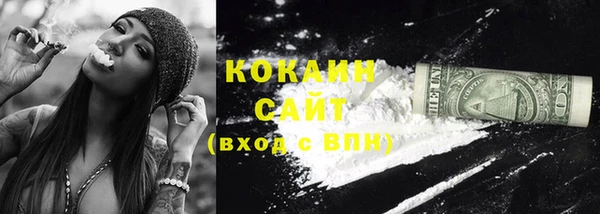 прущий лед Алзамай
