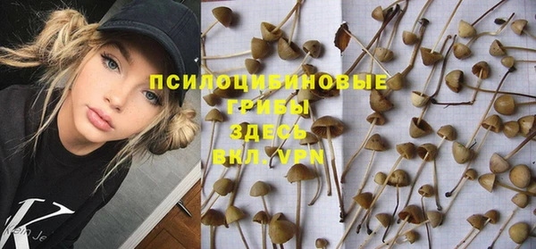 трава Абаза